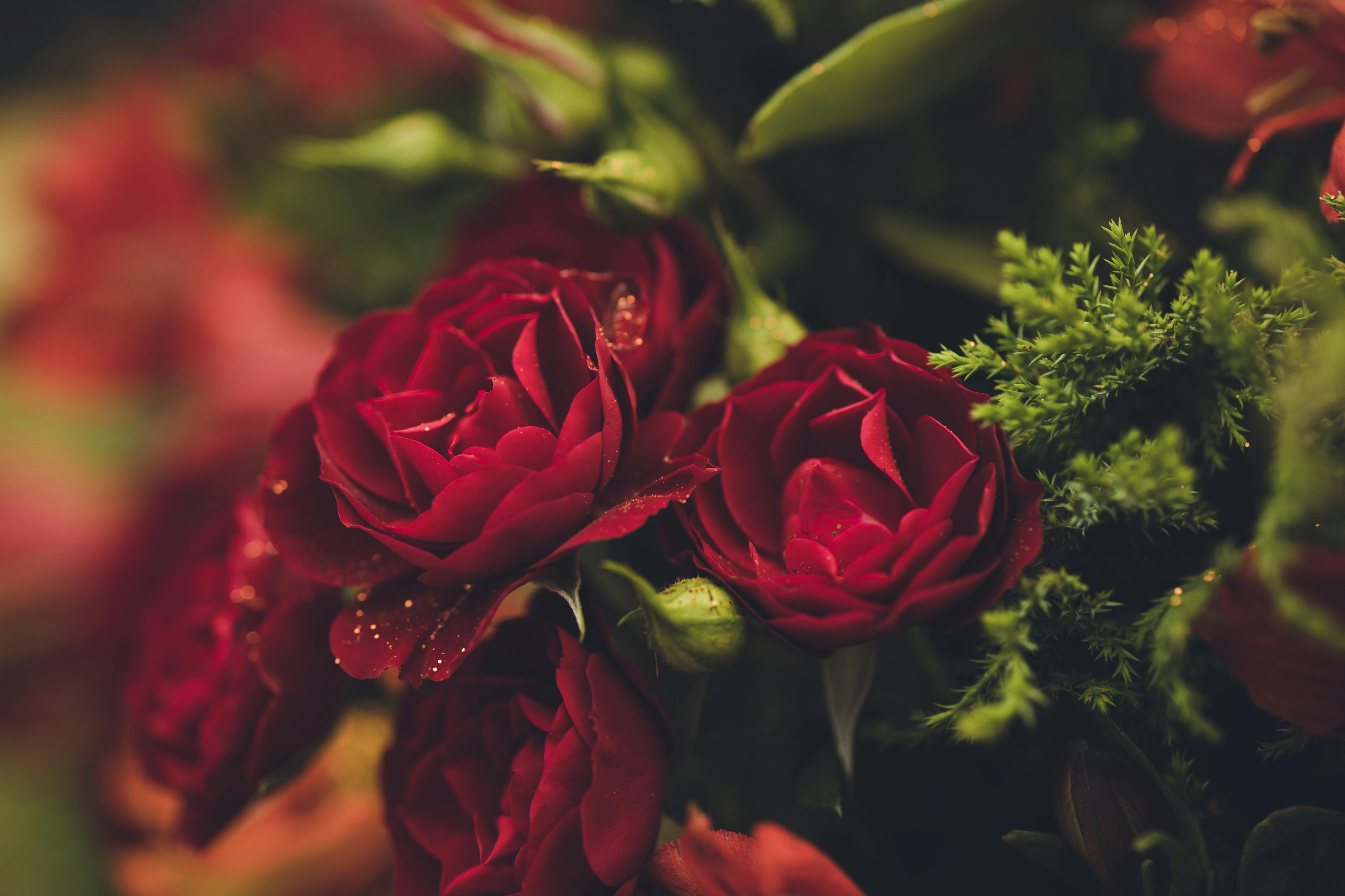Flowers 3