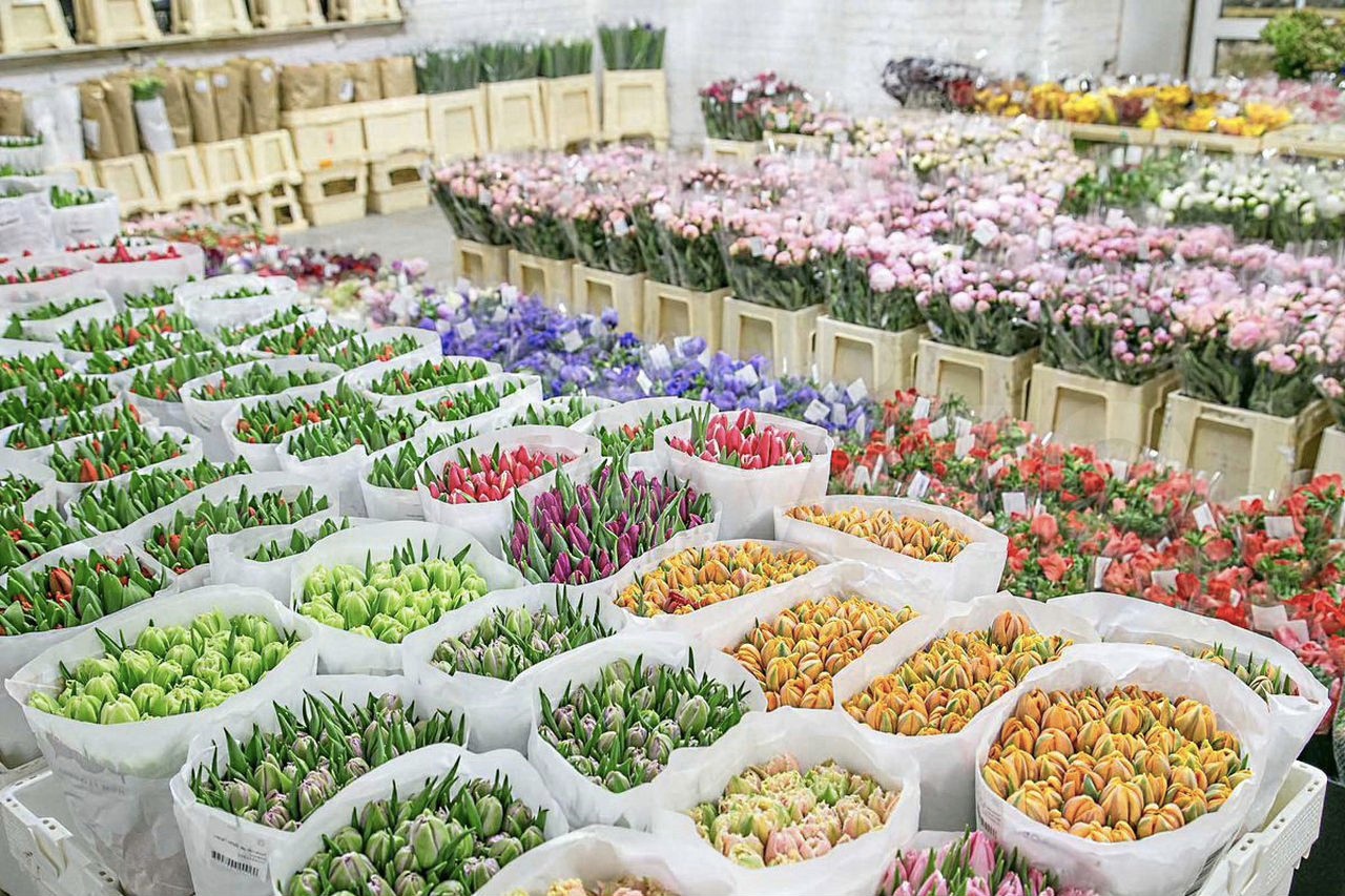 Flowers Transport