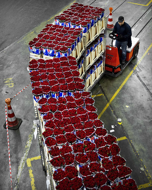 Flowers Logistics